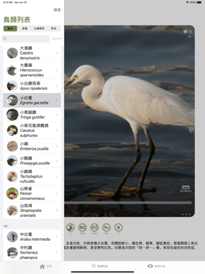 Information of over 240 bird species are available in the app, covering most of the common species found in Hong Kong. 